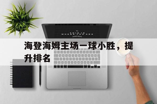 海登海姆主场一球小胜，提升排名的简单介绍